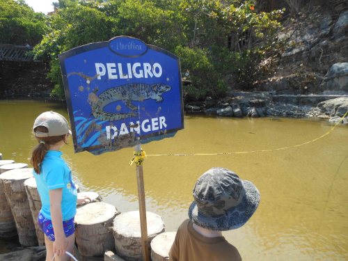 Ixtapa crocodiles