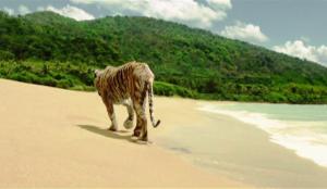 Richard Parker walks away from Pi without saying goodbye.