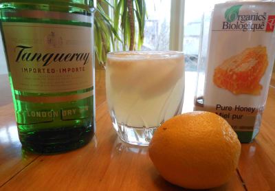 Gin + honey syrup + lemon juice = splendid simplicity in a glass.