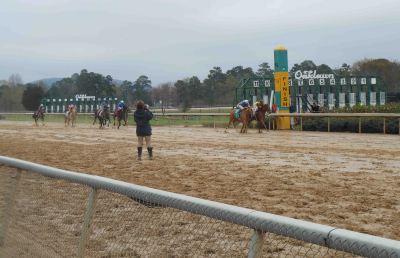 A photo finish between two horses (sadly, not one I had placed money on).