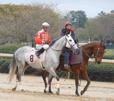 Love these Texas longhorn silks -- nice!