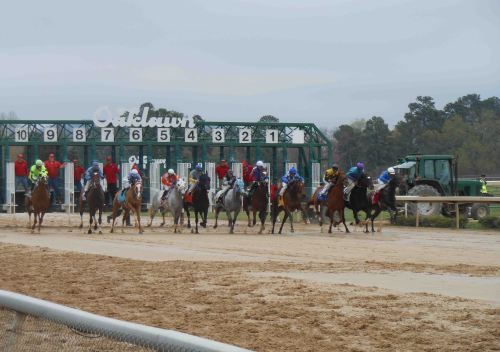 And they're off! It's pretty exciting watching the horses start from the gate. I love that we could watch from the rail.