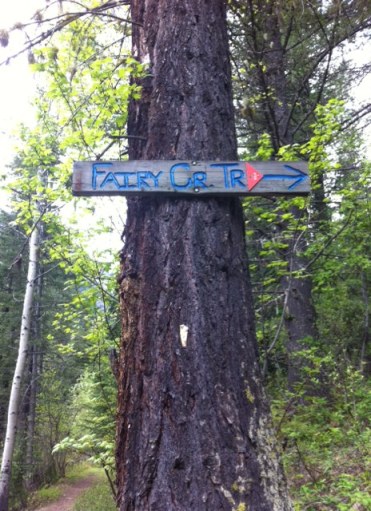 Fairy Creek Tral is one of Fernie's many family-friendly hikes.