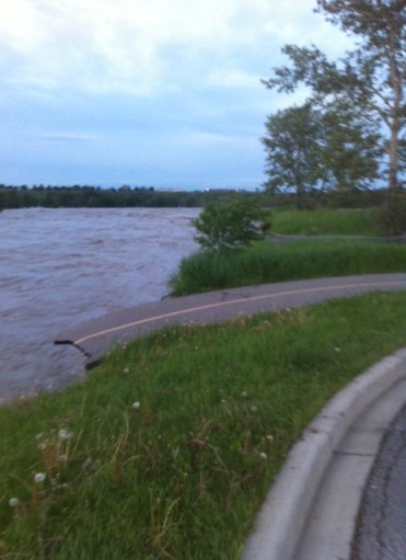 Another wild bike path ride, Friday evening.