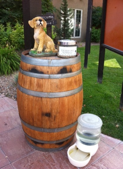 Dogs get their own special check-in at Spirit Ridge, complete with water and treats.