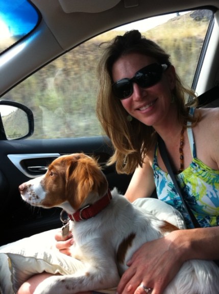 Blake took this lovely portrait, Travel With Dog, while he was driving down pass No. 4. Nice!