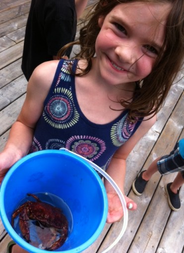 Avery catches one of many crabs up Indian Arm.