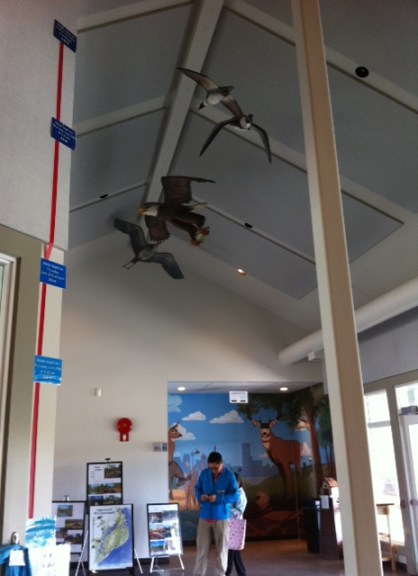 A diagram inside the nature centre at the Inglewood Bird Sanctuary illustrates how high the Bow River ran before it crested at midnight on June 21 -- 4.1 metres, up from about 2 metres at 9 a.m. on June 20.
