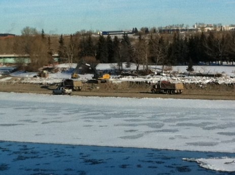 An seemingly endless parade of dump trucks hauled huge rocks from the point bar and trucked them over to the bird sanitary to be used as fill.