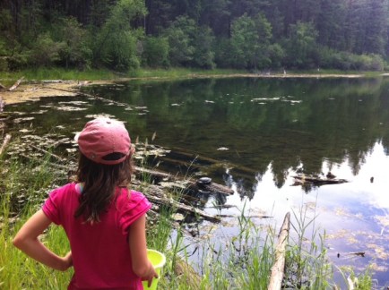 Avery surveys the scene looking for Western Painted turtles at Hidden Lake in Kikomun Creek Provincial Park.