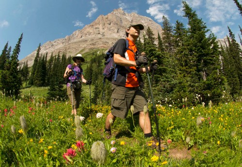Skirting the imposing mass of Mount Bisaro by way of wildflower-studded alpine meadows. Photo by Mike McPhee.