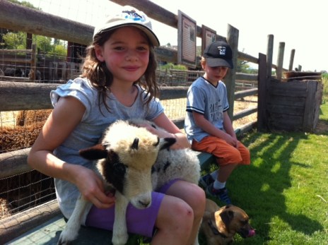 Avery cradles a baby Jacob sheep in her lap at O'Keefe Ranch.