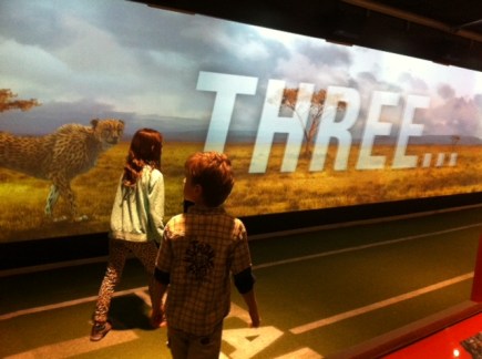 Avery and Bennett get ready to race a cheetah inside the sports hall.