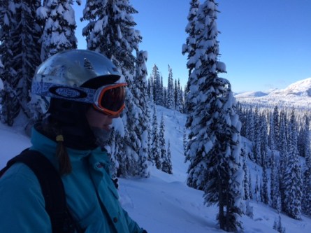 There's powder between them thar trees!