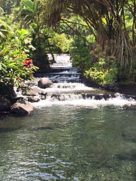 If there's water, you can pretty much get in anywhere at Tabacon, including this waterfall stream. Photo by Lisa Kadane.