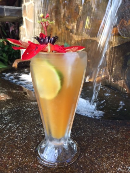 It's a fruity rum drink with a squeeze of lime. Best enjoyed by a waterfall in Costa Rica.