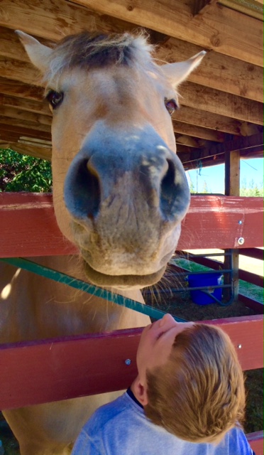 Bennett's love affair with horses continues during a Chromosome 18 field trip to the National Ability Centre in Park City, Utah.