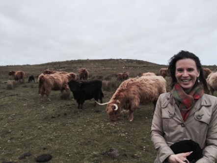 Hangin' with the hairy coos on Islay, Scotland.