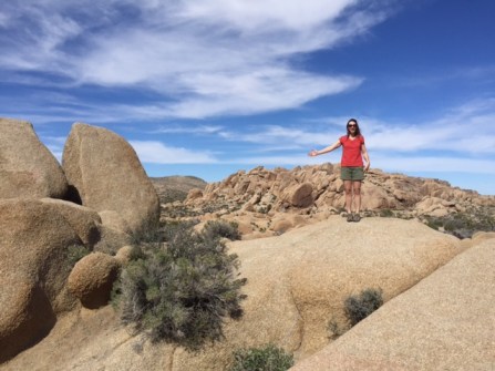 Acres of rocks, cacti and Joshua trees all to myself at Joshua Tree National Park.