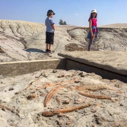 Centrosaur Quarry Hike at Dinosaur Provincial Park.