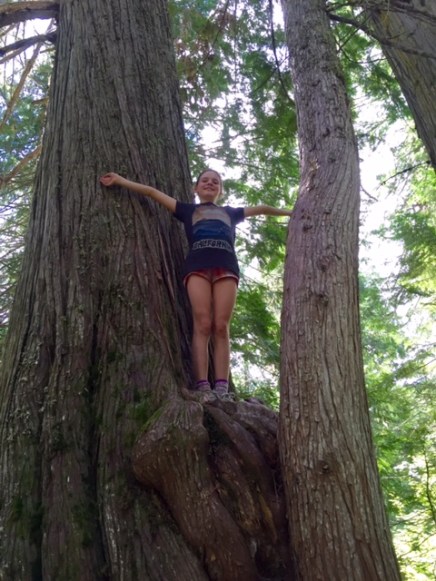 Avery stands on a Western red cedar along the Old Growth Trail in Fernie, B.C.