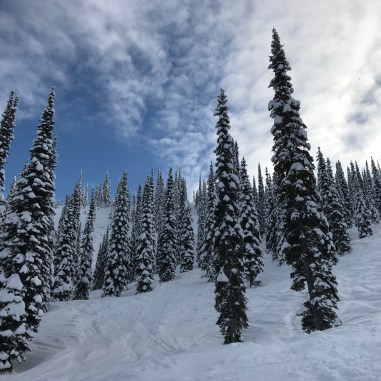 Little known fact: If you look up at the treelike from a steep run you can feel the Earth turning.